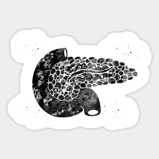 Pancreas Sticker by erzebeth